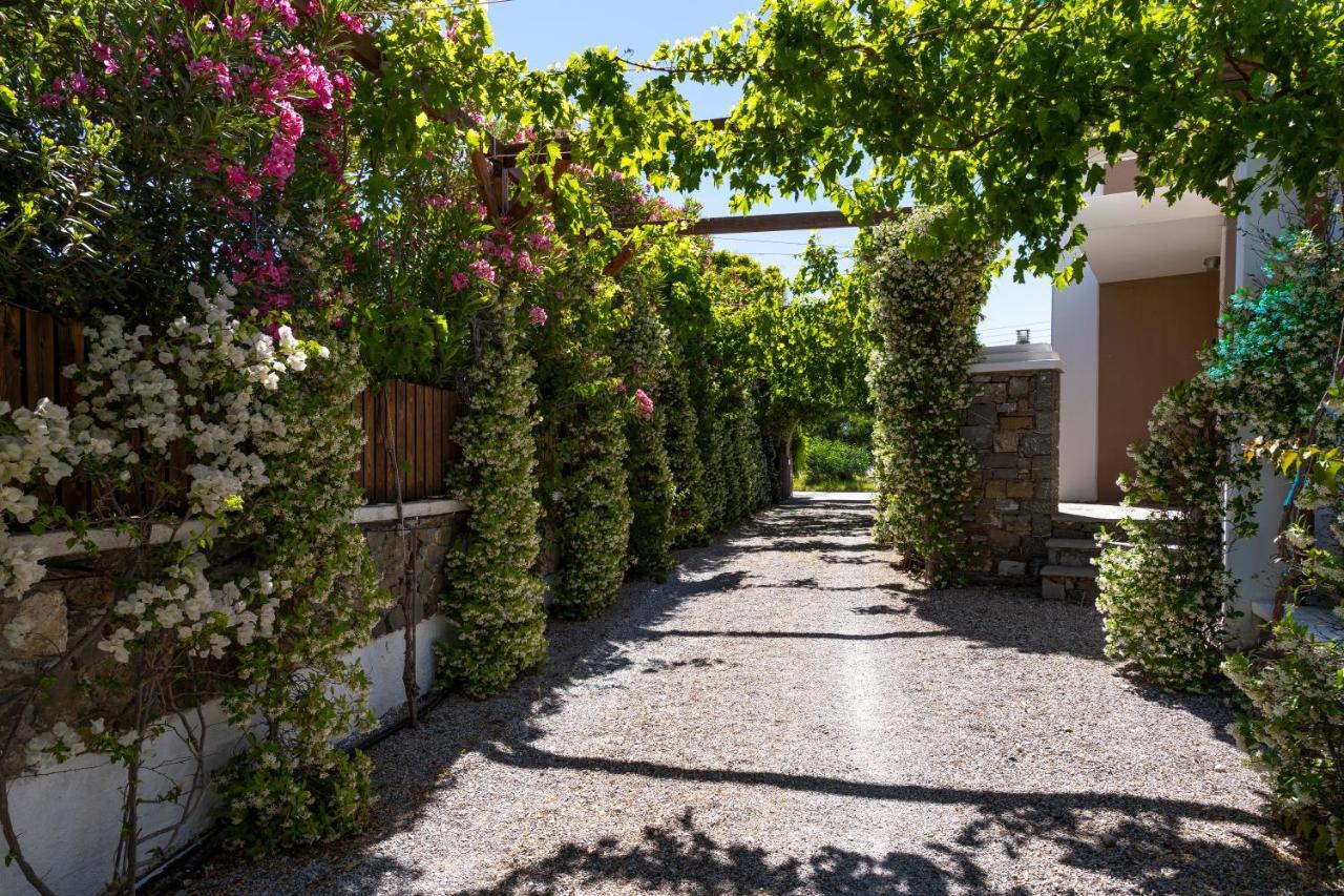 Horizon Line Villas Kiotari Eksteriør billede